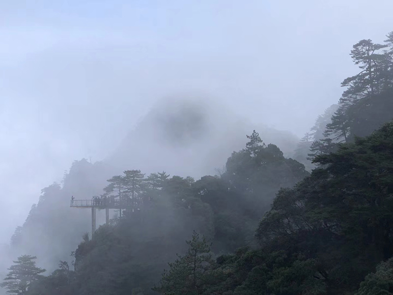 微信圖片_20181210092123.jpg