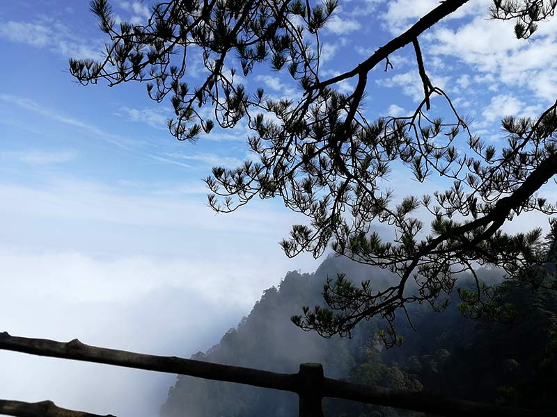 井岡山山景