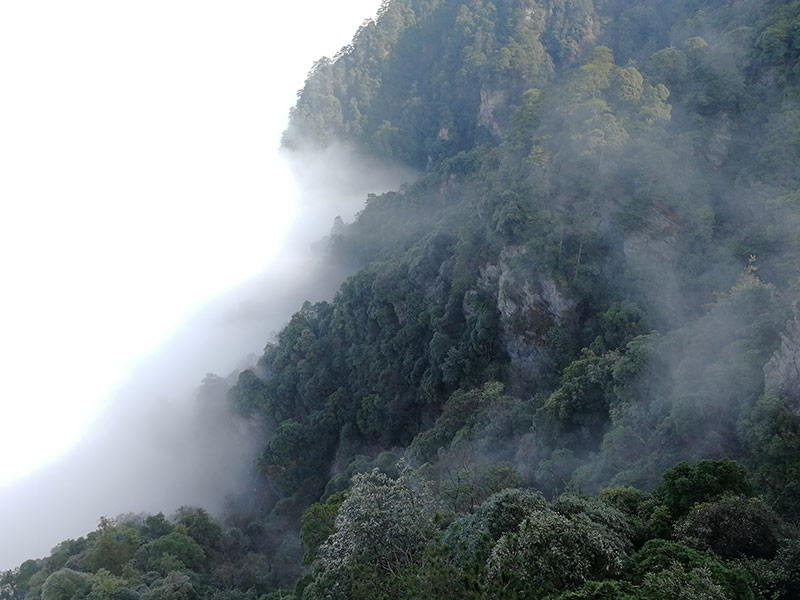 井岡山之行山上風光